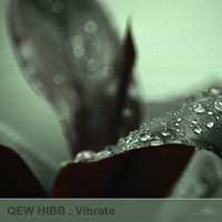 Qew Hibb - Vibrate
