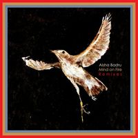 Aisha Badru - Mind on Fire Remixes (Explicit)