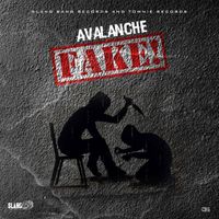 Avalanche - Fake!