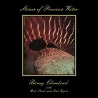 Barry Cleveland - Stones of Precious Water