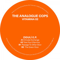 The Analogue Cops - Zigulì