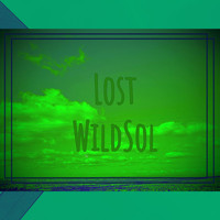 WildSol - Lost