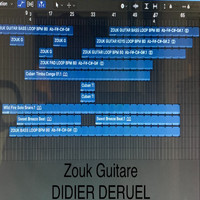 DIDIER DERUEL - Zouk Guitare