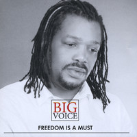 Big Voice - Freedom Is a Must