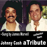 James Marvell - Johnny Cash a Tribute