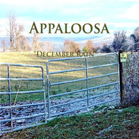 Appaloosa - December Rain