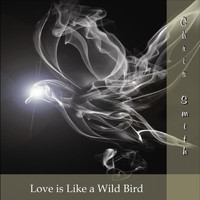 Chris Smith - Love is Like a Wild Bird