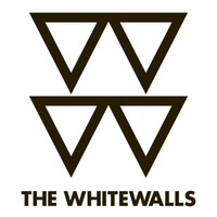 The Whitewalls - The Torch (feat. David Lott, Matthew Epstein & Josh Bloom)