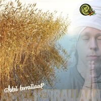 Salomo - Askel kerrallaan