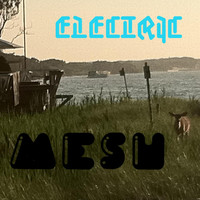 Mesh - Electric