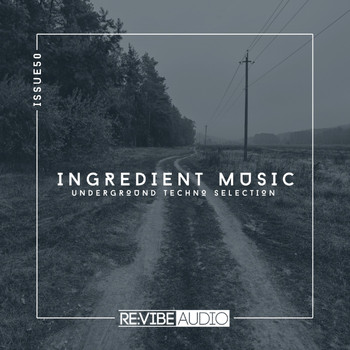 Various Artists - Ingredient Music, Vol. 50