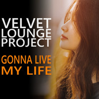 Velvet Lounge Project - Gonna live my life (Radio Edit)