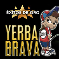 Yerba Brava - Éxitos de Oro