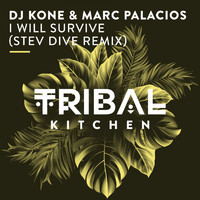 Dj Kone & Marc Palacios - I Will Survive (Stev Dive Remix)