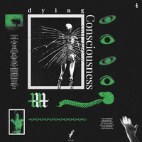 Kyroshie - Dying Consciousness