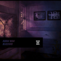 Adam Nam - Blizzard