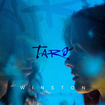 Taro - Winston