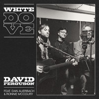 David Ferguson - White Dove