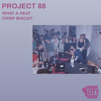 Project 88 - Inner City Dubs Volume 12