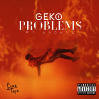 Geko - Problems