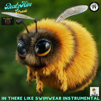 Beatz Hive - In There Like Swimwear Instrumental