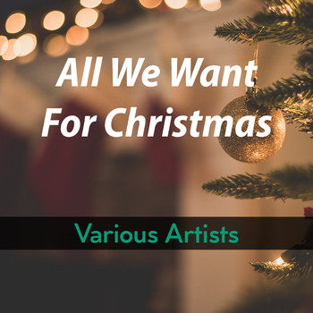 Various Artists - All We Want For Christmas