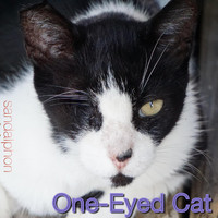Sandalphon - One-Eyed Cat