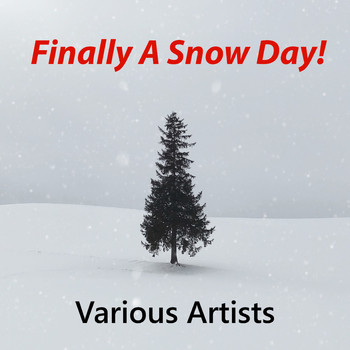 Various Artists - Finally A Snow Day!