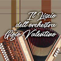 Gigio Valentino - Il liscio dell'orchestra gigio valentino