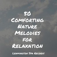 Regen, Guided Meditation, Spa Relaxation - 50 Comforting Nature Melodies for Relaxation