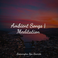 Rain Sounds, Soothing Music Academy, Sleep Music System - Ambient Songs | Meditation