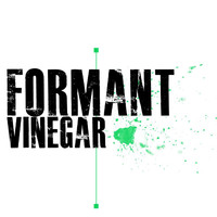 Formant - Vinegar (Explicit)