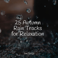 Mother Nature FX, Tibetan Singing Bowls for Relaxation, Elements of Nature - 25 Autumn Rain Tracks for Relaxation