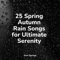 Alpha Waves, Rain for Deep Sleep, Preschool Kids - 25 Spring Autumn Rain Songs for Ultimate Serenity