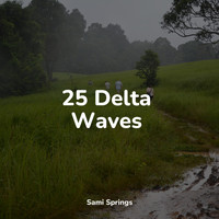 The Rain Library, Kinderlieder Megastars, Namaste Yoga - 25 Delta Waves