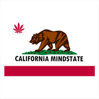 Parallel - California Mindstate (Explicit)