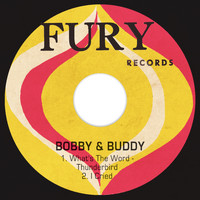 Bobby & Buddy - What's the Word - Thunderbird