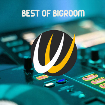 Various Artists - Best of Bigroom (Explicit)