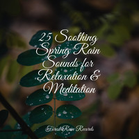 Healing Sounds for Deep Sleep and Relaxation, Meditation Zen, Relaxing Sleep Sound - 25 Soothing Spring Rain Sounds for Relaxation & Meditation