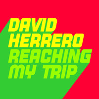 David Herrero - Reaching My Tryp