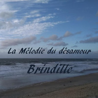 Brindille - La mélodie du désamour