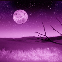 mar io - Twilight of Ages (Remixes)