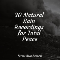 Hipnose Natureza Sons Coleção, Meditação Clube, Musica Relajante - 30 Natural Rain Recordings for Total Peace