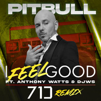 Pitbull - I Feel Good (71 Digits Remix)