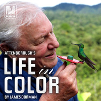 James Dorman - Attenborough's Life in Colour