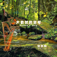张宇桦 - 大自然的竖琴