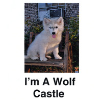 Castle - I'm a Wolf