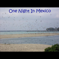 Tim Carroll - One Night In Mexico