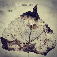 Nick - Stardust (Radio Edit)