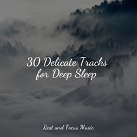 Spa, Deep Sleep Music Academy, Nature Sounds Nature Music - 30 Delicate Tracks for Deep Sleep